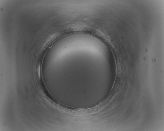 X0000070380019200606231724