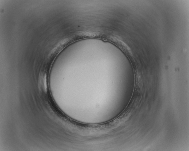 X0000070380020200606231724