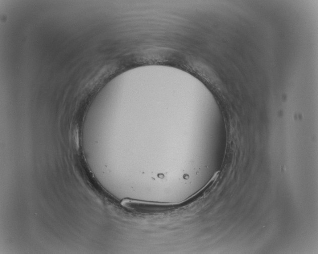 X0000070380021200606231724