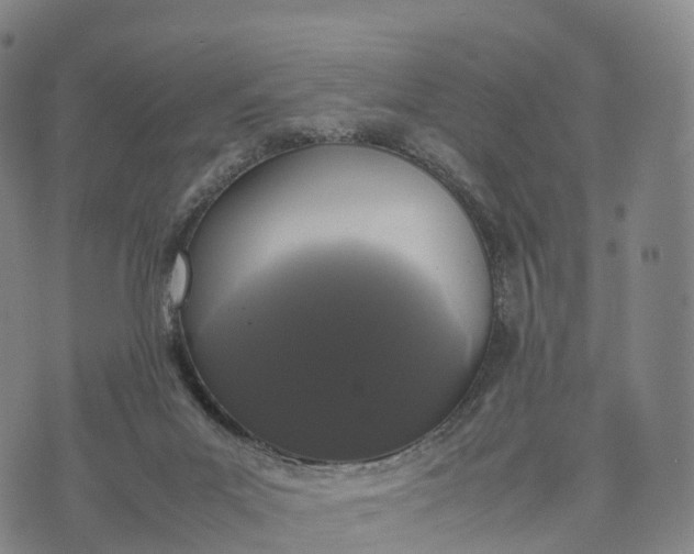 X0000070380023200606231724