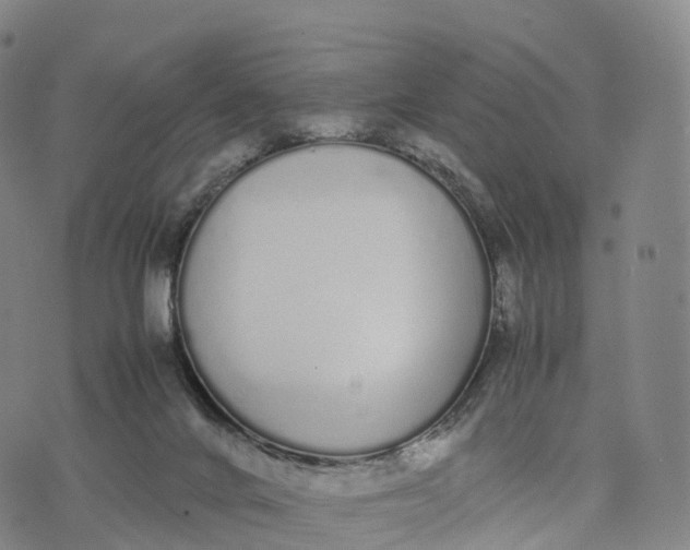 X0000070380024200606231724