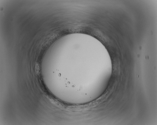 X0000070380025200606231724