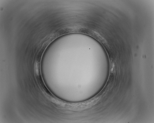 X0000070380026200606231724