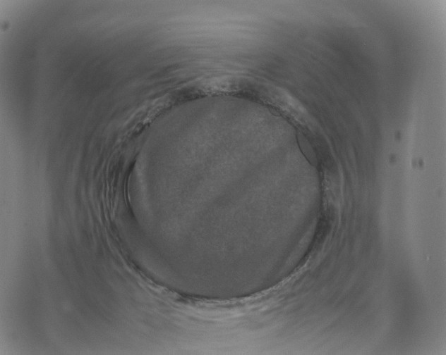 X0000070380029200606231724