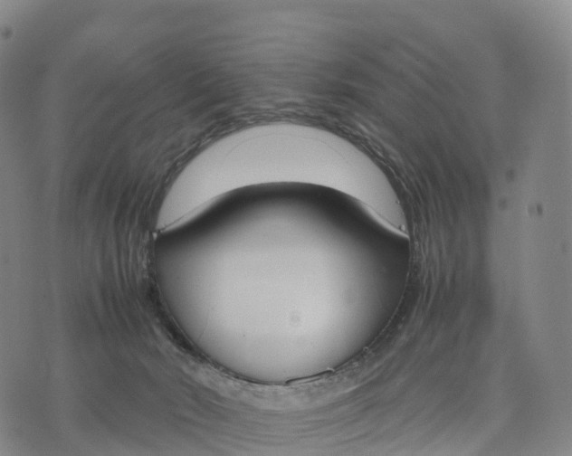 X0000070380030200606231723