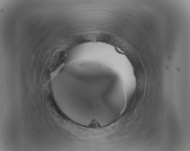 X0000070380031200606231723