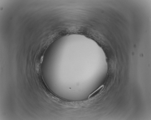 X0000070380033200606231723