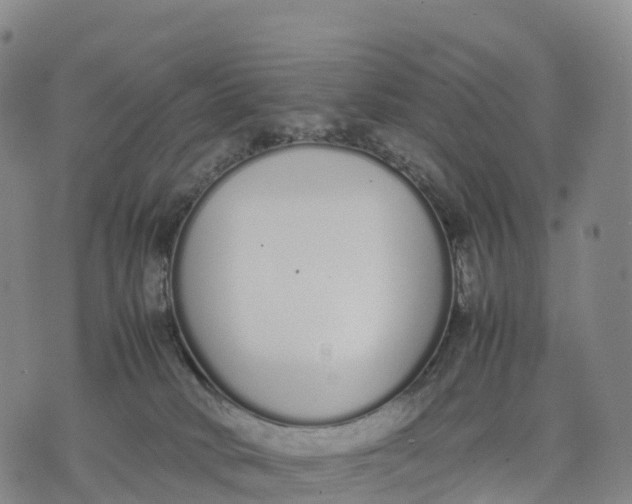 X0000070380034200606231723