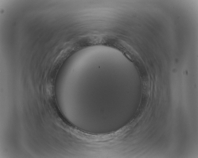 X0000070380035200606231723