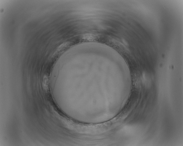 X0000070380036200606231723