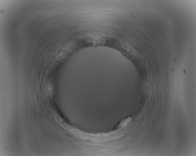 X0000070380039200606231723