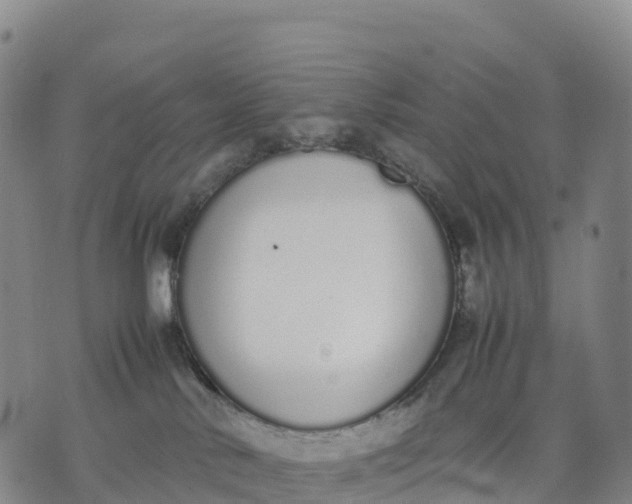 X0000070380042200606231723