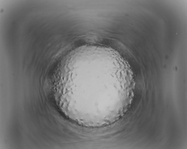 X0000070380043200606231723