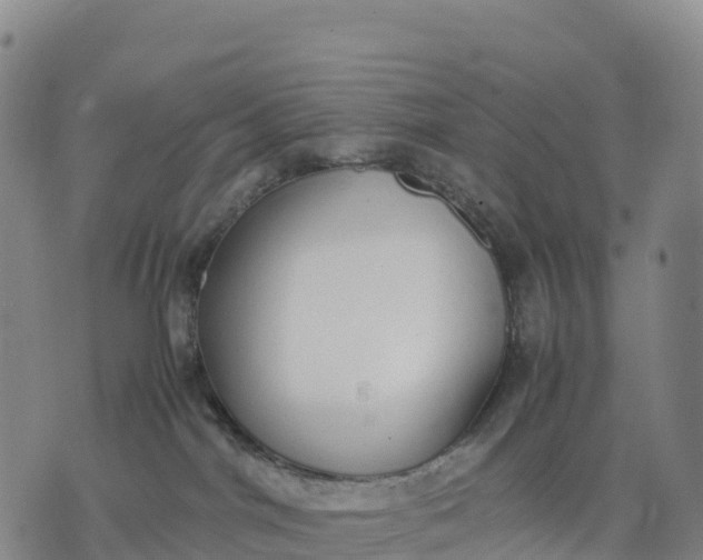 X0000070380044200606231723