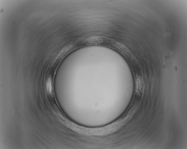 X0000070380046200606231723