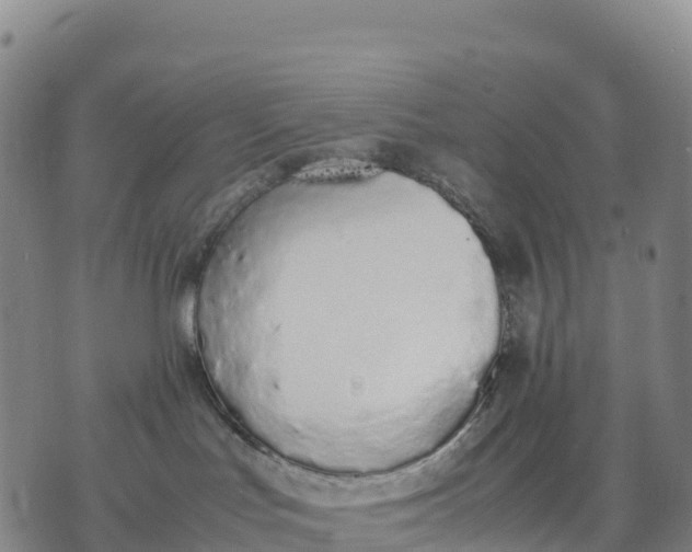 X0000070380047200606231723