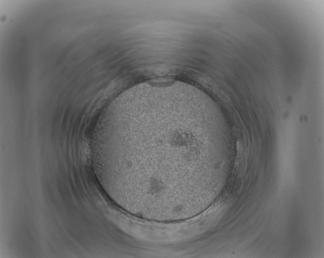 X0000070380048200606231723