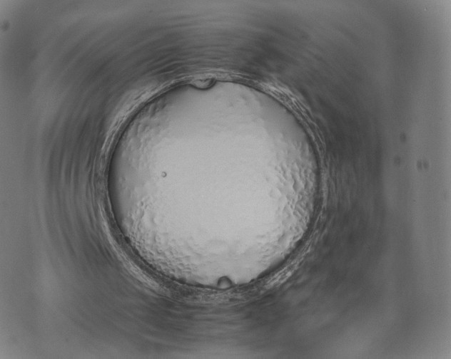 X0000070380049200606231722