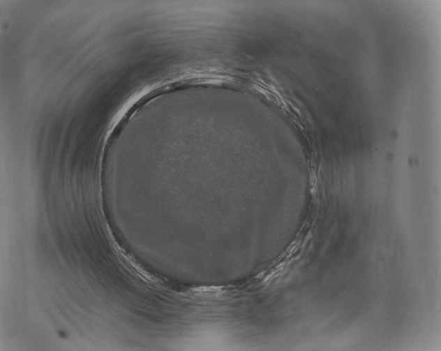 X0000070380052200606231722