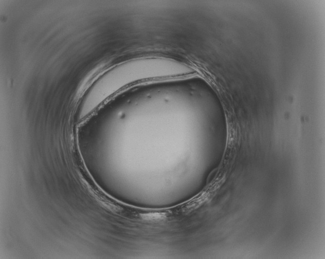 X0000070380053200606231722