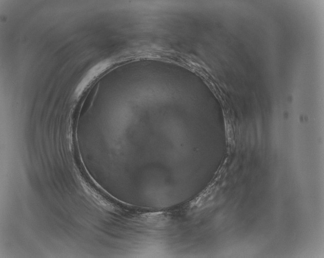 X0000070380054200606231722