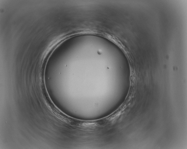 X0000070380055200606231722