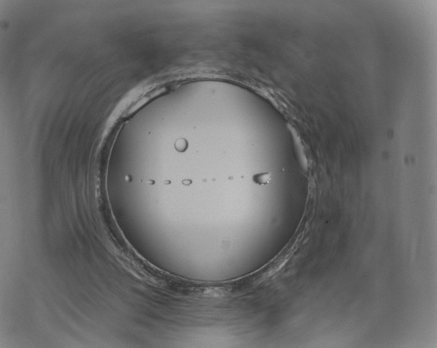 X0000070380056200606231723