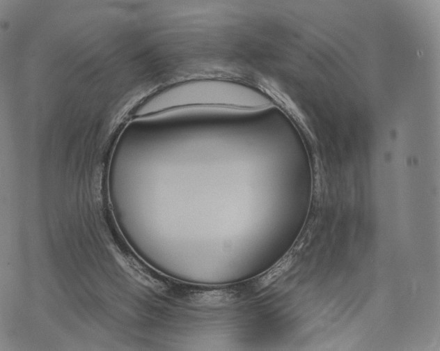 X0000070380058200606231723