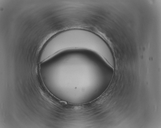 X0000070380060200606231723