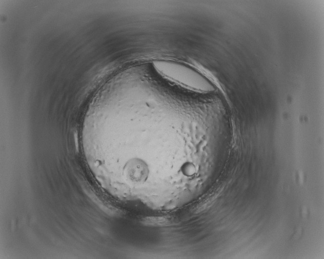 X0000070380061200606231723