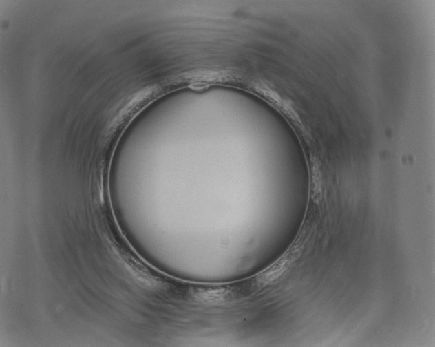 X0000070380062200606231723