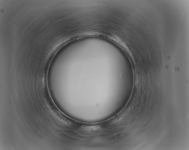 X0000070380063200606231723