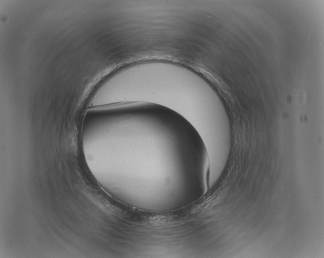 X0000070380064200606231723