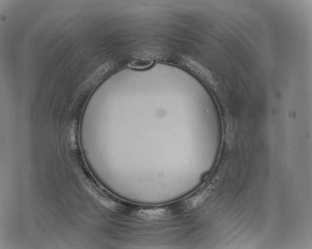 X0000070380065200606231723