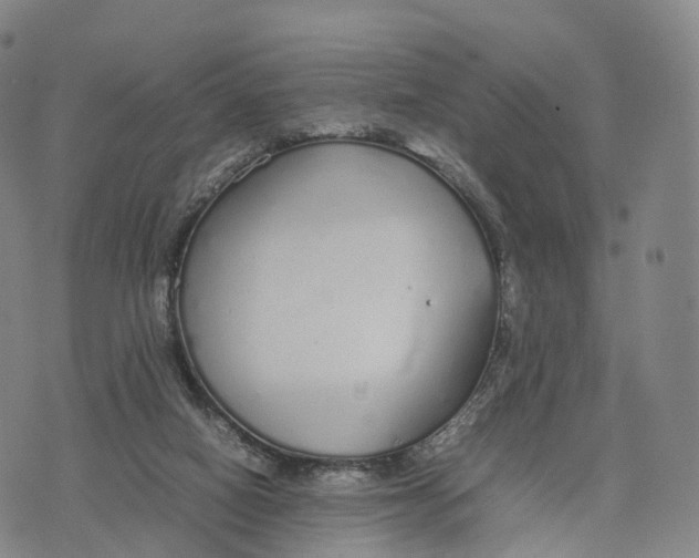 X0000070380066200606231723