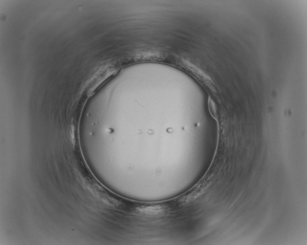 X0000070380067200606231723