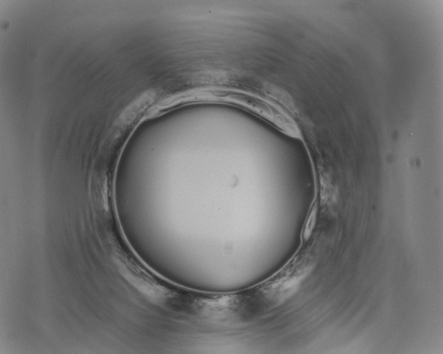 X0000070380068200606231723