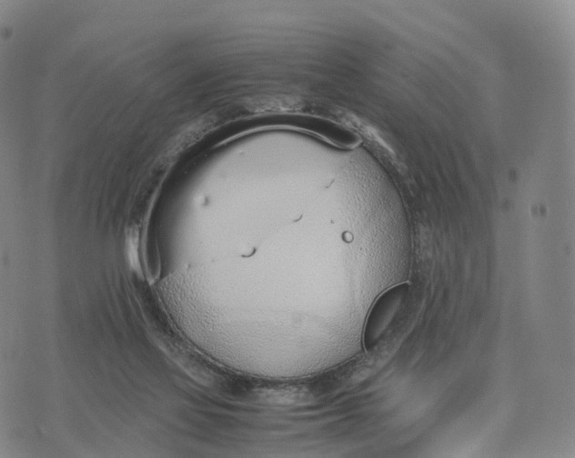 X0000070380069200606231723