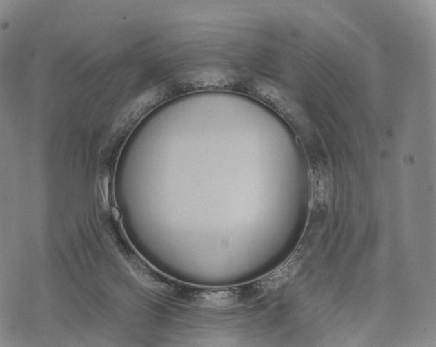 X0000070380070200606231723