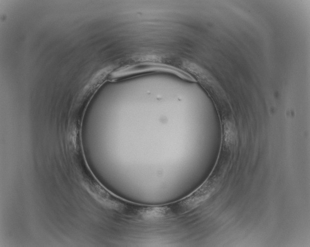 X0000070380072200606231723