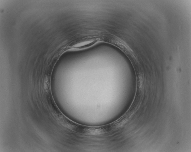 X0000070380073200606231723