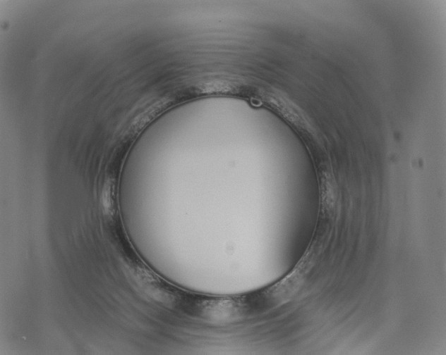 X0000070380074200606231723