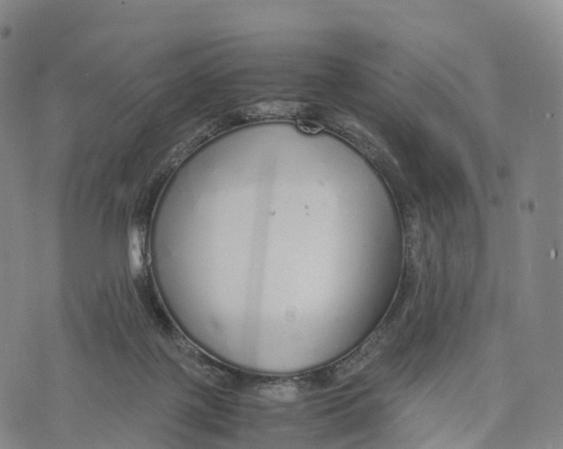 X0000070380075200606231723