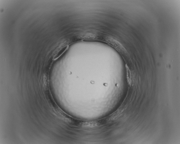 X0000070380077200606231723