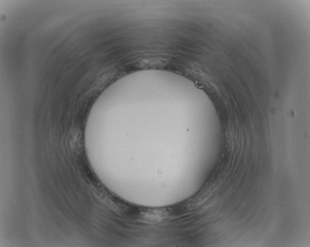 X0000070380079200606231723