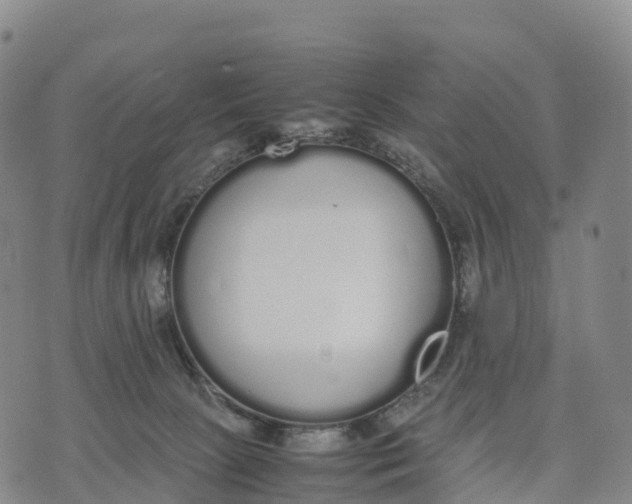 X0000070380081200606231723