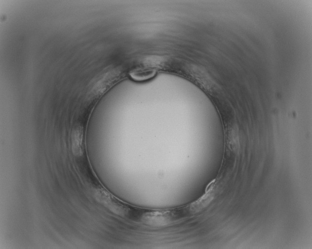 X0000070380082200606231723