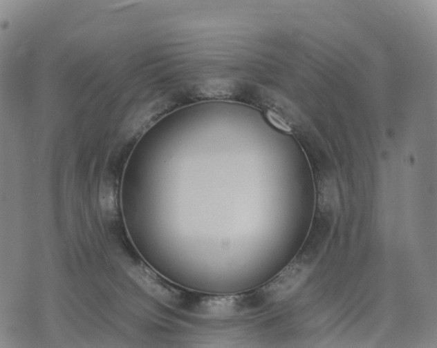 X0000070380084200606231723