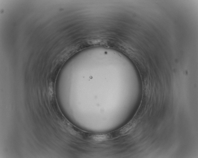 X0000070380085200606231723