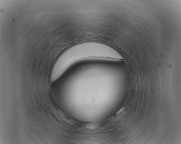 X0000070380088200606231723